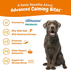 Zesty Paws Calming Chews for Dogs - for Everyday Stress, Relaxation, Composure, and Separation, 90 Count, Turkey - Melatonin