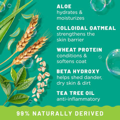 TropiClean Oatmeal Dog Shampoo for Itchy Skin Relief, Professional Dog Shampoo, Soothing Medicated Itch Relief, Puppy Safe 1 gal