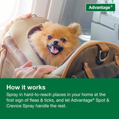 Advantage Household Spot & Crevice Spray | Kills Fleas & Ticks & Bedbugs | 24 oz.