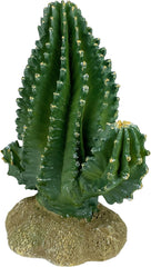 Multi Pet 48593320: Komodo Cactus Plant Columnar, 5.9In