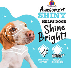 Weruva Awesome Shiny Wet Dog Food, Beef & Brown Rice