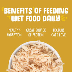 Weruva Classic Cat Food, Paw Lickin’ Chicken with Chicken Breast in Gravy