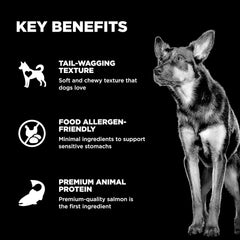 Go! Solutions Sensitivities - Limited Ingredient Dog Treats Salmon Recipe - Soft and Chewy Dog Treats, 6 oz Bag