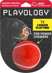 Playology Squeaky Chew Ball for Dogs | Engaging All-Natural Beef Scented Toy for Medium Dogs up to 50lbs | Squeak, Fetch, and Play