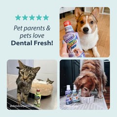 Dental Fresh Water Additive for Dogs, Original Formula, Dog Breath Freshener and Dog Teeth Cleaning for Dog Dental Care– Add to Water