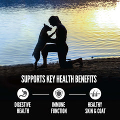 ORIJEN Amazing Grains Six Fish Recipe Dry Dog Food, High Protein Dog Food, Fresh or Raw Ingredients