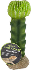 Multi Pet 48593325: Komodo Cactus Plant Moon, 7.5In
