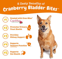 Zesty Paws Cranberry Supplement for Dogs - Bladder Control for Dogs - Urinary Tract Support - Cranberry Chews with D-Mannose, Vitamin B6 & L-Arginine - Immune & Gut Support - Bacon - 90 Count