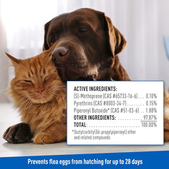 Plus Flea & Tick Shampoo with Precor for Cats, Kittens, Dogs & Puppies Over 12 Weeks Of Age Sensitive Skin Flea Treatment | Kills Adult Fleas, Flea Eggs, Ticks, and Lice