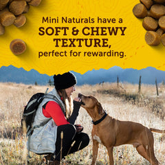 Zuke’s Mini Naturals Dog Training Treats for Dogs, Pet Treats Made with Real Chicken