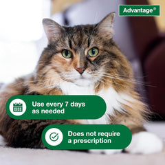 Advantage Cat Flea & Tick Shampoo for Kittens & Adult Cats | Kills Fleas & Ticks | 8 oz.