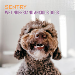 SENTRY PET Care Sentry Calming Collar for Dogs, Anxiety Reducing Pheromone Collar, Releases Pheromones for 30 Days, Helps Calm During Loud Noises and Separation, 1 Count