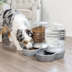 Petmate Replendish Automatic Gravity Waterer for Cats and Dogs, BPA-Free, No Batteries Required, Includes Charcoal Filter