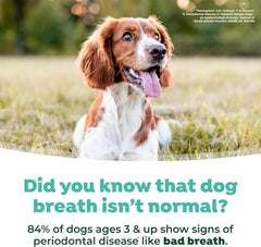 TropiClean Fresh Breath Spray for Dogs & Cats | Peanut Butter Flavored |