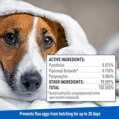 Flea & Tick Cleansing Shampoo For Dogs, Cats, 12 oz