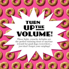 Fromm Crunchy Os Slammon' Smoked Salmon Dog Treats - Premium Crunchy Dog Treats-6 oz