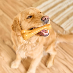 SPOT Bam-Bones Plus Dino Bone - Bamboo Fiber & Nylon, Durable Long Lasting Dog Chew for Aggressive Chewers – Great Toy for Dogs Under 90lbs, Non-Splintering, 7.25in Peanut Butter Flavor Allergen Free