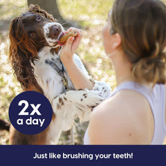 Ark Naturals Fortify Brushless Toothpaste, Dog Dental Chews for Large Breeds, Calcium Plus Omegas Support Strong Teeth and Immune Health