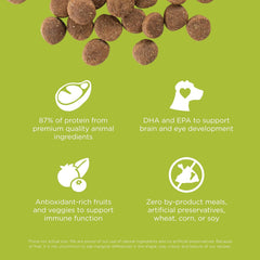 Go! Solutions Carnivore, Grain-Free, Protein Rich Dry Dog Food, Chicken, Turkey and Duck Puppy Recipe, Small Kibble