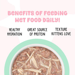 B.F.F. Kitten Food, Cha Cha Cha with Chicken in Gravy, 2.8oz Can (Pack of 12)