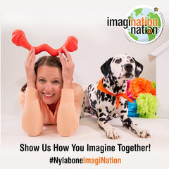 Nylabone C-Shuu Interactive Dog Toy for Small Dogs – Lightweight Squishy Dog Chase Toy for Creative Play & Dog Exercise