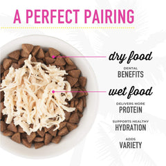 Tiki Cat Luau Pâté, Ahi Tuna & Mackerel Recipe in Tuna Consumme, Grain-Free Balanced Nutrition Wet Canned Cat Food, for All Life Stages