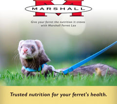 Marshall Pet Products Ferret Lax Hairball and Obstruction Remedy 1ea/3 oz