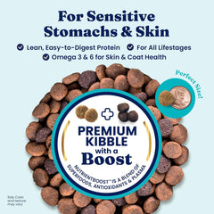 Solid Gold Dry Dog Food for Sensitive Stomachs - Grain Free & Gluten Free w/Venison, Pumpkin & Probiotics for Gut Health & Digestion - Sensitive Stomach Dog Food for All Ages - Nutrientboost 22-lb