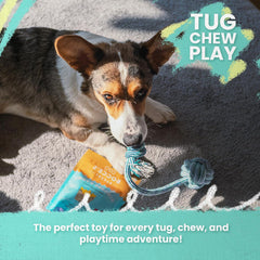 Snugarooz Snuggle Ball Dog Toy – TPR with Braided Cotton Rope – Aids Dental Health – Durable for Chewing & Fetch Play - Made from Recycled Materials