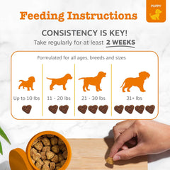 Zesty Paws Dog Allergy Relief - Anti Itch Supplement - Omega 3 Probiotics for Dogs - Digestive Health - Soft Chews for Skin & Seasonal Allergies - with Epicor Pets - Puppy - Lamb - 90 Count