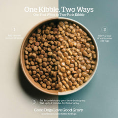 Now Fresh Good Gravy, Bone Broth Coated Kibble, Dry Dog Food, Chicken Adult Recipe with Grains, All Breed Size
