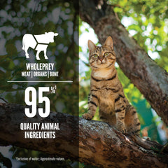 ORIJEN Adult Regional RED Entree in Bone Broth Wet Cat Food, Fresh and Raw Animal Ingredients