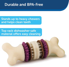 PetSafe Busy Buddy Bristle Bone Dog Toy - Treat-Holding Toy for Dogs - Treat Rings Included - Rigorously Tested Ingredients - Purple