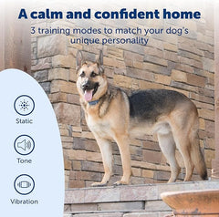 PetSafe Smart Dog Training Collar – Uses Smartphone as Handheld Remote Control – Tone, Vibration, 1-15 Levels of Static Stimulation – Bluetooth Wireless System – All in One Pet Training Solution