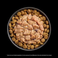 Go! Solutions Booster Immune Health, Grain-Free Wet Dog Food Topper