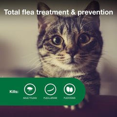 Elanco Advantage II Cat Vet-Recommended Flea Treatment & Prevention | 1-Month Supply