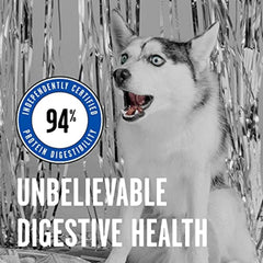 BIXBI Rawbble Freeze Dried Dog Food, Turkey Recipe - 96% Meat and Organs, No Fillers - Pantry-Friendly Raw Dog Food for Meal, Treat or Food Topper - USA Made in Small Batches