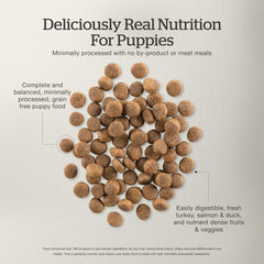 Now Fresh Grain-Free, Dry Dog Food, Real Meat and Fish, Turkey, Salmon and Duck Puppy Recipe, All Breed Size, 3.5 lb Bag