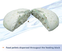 Aqueon® 7 Day Tropical or Goldfish Vacation Feeder 1 Count