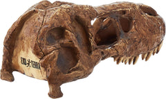 Exo Terra T-Rex Skull Terrarium Decor