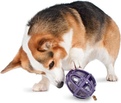 PetSafe Busy Buddy Kibble Nibble - Dog Toy - Treat and Food Dispenser - Slow Feeder