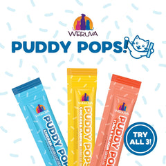 Weruva Puddy Pops, Chicken and Pumpkin Lickable Cat Treats 0.5oz Tube, Pack of 5