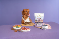 Superfood Complete, Air-Dried Adult Dog Food - High Protein, Zero Fillers, Superfood Nutrition by Katherine Heigl (Lamb & Venison)