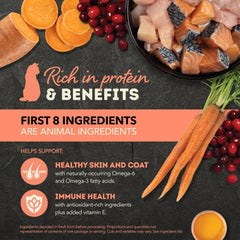 ACANA PREMIUM PATE Wet Cat Food, Salmon & Chicken Recipe in Beef Bone Broth