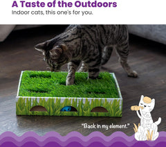 Petstages Catstages Grass Patch Hunting Box Interactive Bat & Swat Game for Indoor Cats, 3 Jingle Balls Included, Green