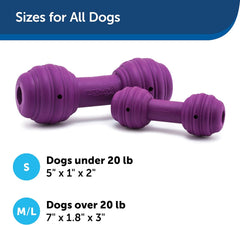 PetSafe Busy Buddy Chuckle Sound Dog Chew Toy - Treat Dispenser, BB-CHK, Purple,Medium/Large