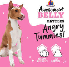 Weruva Awesome Belly, Chicken, White Rice, & Pumpkin (Pack of 8)