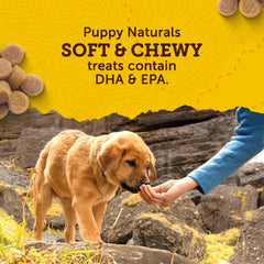 Zuke's Puppy Naturals Bag of Soft Puppy Treats for Training, Natural Dog Treats Bites with Salmon Recipe