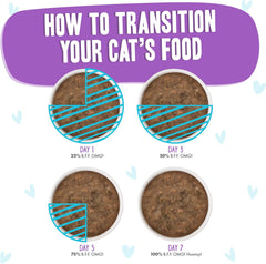 Weruva B.F.F. OMG - Best Feline Friend Oh My Gravy!, Best Day Eva! with Beef & Salmon in Gravy Cat Food