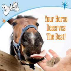 The Lazy Dog Cookie Co. Bitscuits, Horse Treats, Alfalfa, Flax & Peppermint, Pocket Size Biscuits for Horses & Ponies, All Natural Horse Cookies, Made in USA, 14 oz. Bag (Pack of 1)